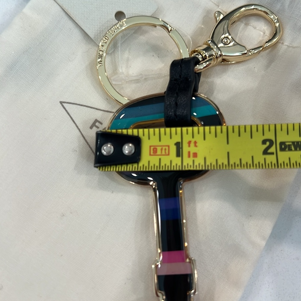 Cute.๐๏ธ๐๏ธFOSSIL Key Chain - Picture 6 of 12